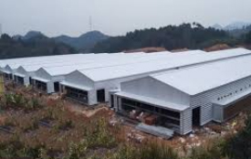 Heatseal Coating Solution